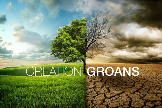 Creation Groans